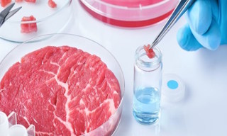 Лабораторный анализ пищевых продуктов по СанПиН в Донецке в октябре